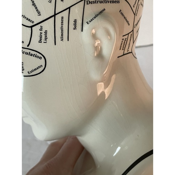 Phrenology Head Psychology L.N. Fowler, Royale Stratford Hand Made England - Picture 10 of 16